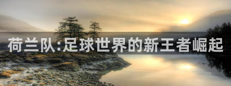 2026世界杯亚洲预选赛:荷兰队:足球世界的新王者崛起