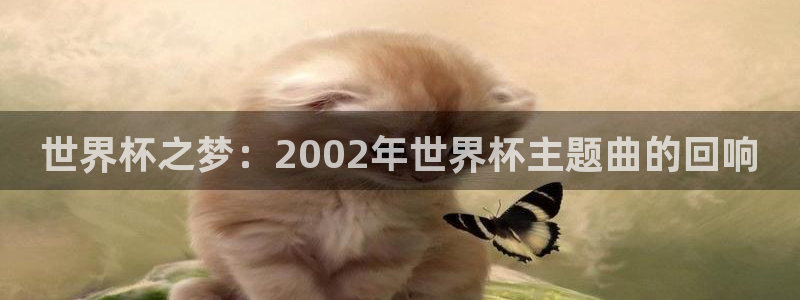 2026世界杯直播免费观看:世界杯之梦:2002年世界杯主题曲的回响