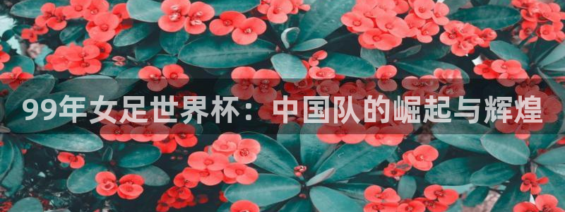 2026世界杯亚洲预选赛赛程:99年女足世界杯:中国队的崛起与辉煌