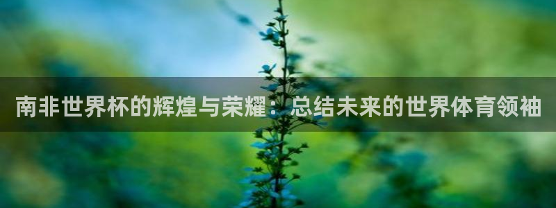 世界杯直播在线观看入口:南非世界杯的辉煌与荣耀:总结未来的世界体育领袖