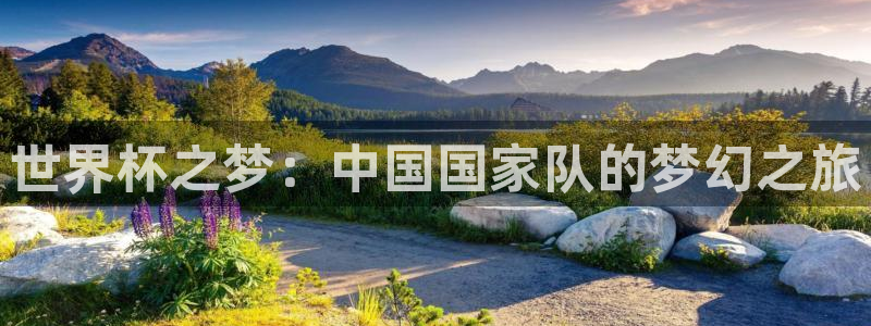 世界直播:世界杯之梦:中国国家队的梦幻之旅
