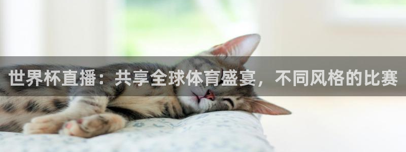 世界杯预选赛亚洲:世界杯直播:共享全球体育盛宴,不同风格的比赛