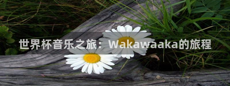 2026足球世界杯赛程:世界杯音乐之旅:Wakawaaka的旅程