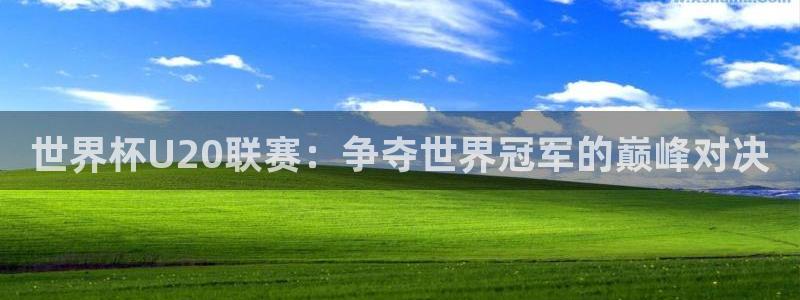 世界杯预选赛欧洲:世界杯U20联赛:争夺世界冠军的巅峰对决