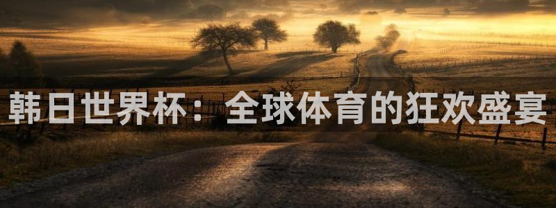2026世预赛全部赛程:韩日世界杯:全球体育的狂欢盛宴