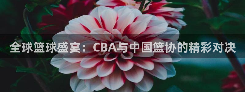 世界杯官网:全球篮球盛宴:CBA与中国篮协的精彩对决